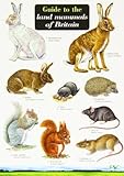 Guide to the land mammals of Britain