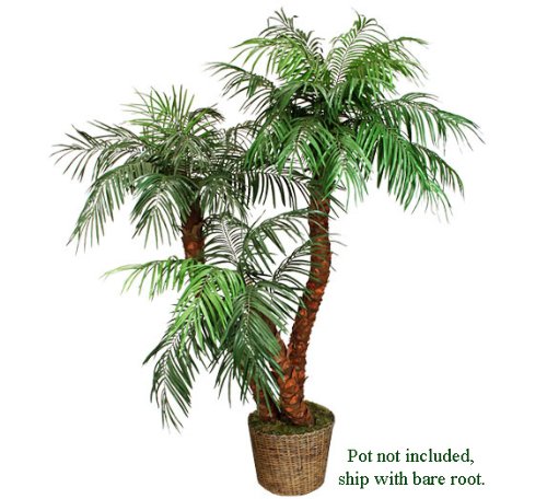 THREE Phoenix Coconut Palm Artificial BENDABLE Tree 8′+7′+5′