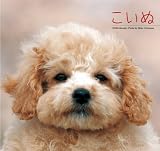 こいぬカレンダー 2008