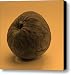 Still Life with Cherimoya Canvas Print / Canvas Art - Artist Viktor Savchenko