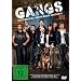 Gangs - Wo stehst du, wenn's drauf ankommt?