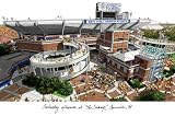 Florida Gators Swamp Unframed Lithograph