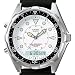 Casio Men's Watch AMW320R-7EV