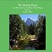 The Healing Planet, As We  Evolve, So Does The Earth, Part One
