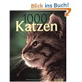 1000 Katzen