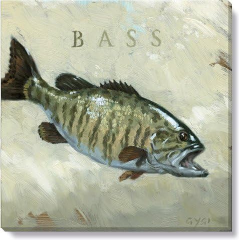 Darren Gygi Giclee on Canvas 1" Gallery Wrap on Wood Frame Bass 9" x 9"