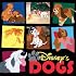 Disney's Dogs