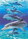Review   / Sunlit Dolphin Beach Towel
