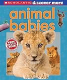 Scholastic Discover More: Animal Babies