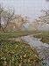 Photo Jigsaw 16x12 (40x30cm) Keoladeo Ghana Bird Sanctuary by Robert Harding
