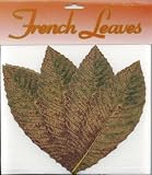 Sisson Imports Chestnut Leaves, Pack of 100