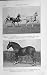 1919 Brocklebanks Hackney Horses Grey Optimistic Sport