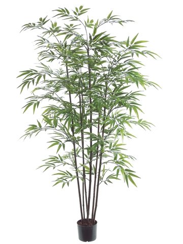 Pack of 2 Decorative Black Bamboo Trees with Round Pots 5'