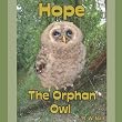 Hope: The Orphan Owl