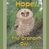 Hope: The Orphan Owl