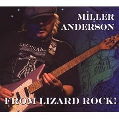 From Lizard Rock