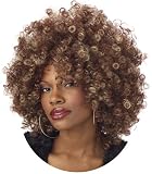 Fine Foxy Fro Wig