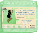 Polar FoamTM Memory Foam Multi-Zone Mattress Pad by Hudson, King