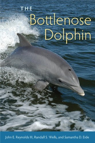 The Bottlenose Dolphin: Biology and Conservation by Reynolds III, John E., Wells, Randall S., Eide, Samantha D. (2013) Paperback