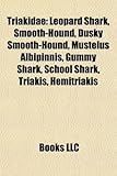 Triakidae: Leopard Shark, Smooth-Hound, Dusky Smooth-Hound, Mustelus Albipinnis, Gummy Shark, School Shark, Triakis, Hemitriakis-