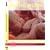 "In the Womb" Life's Precious First Journey (UK PAL)(region 2)(2005) - The Ultimate Pregnancy Companion