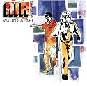 Moon Safari