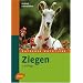 Ziegen -