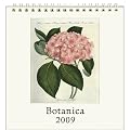 Botanica Cavallini 2009 Vintage Prints easel desk calendar 6 by 6.5 inches Cream Laid paper finish