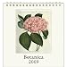 Kitchen & Housewares : Botanica Cavallini 2009 Vintage Prints easel desk calendar 6 by 6.5 inches Cream Laid paper finish