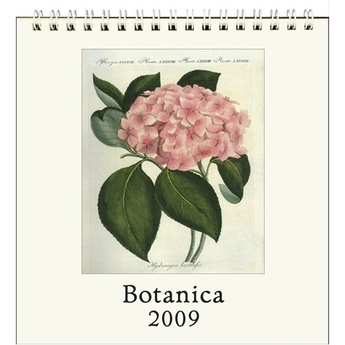 Botanica Cavallini 2009 Vintage Prints easel desk calendar 6 by 6.5 inches Cream Laid paper finish