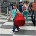 Baby : Kidco PeaPod Plus Indoor/Outdoor Travel Bed - Red