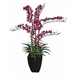 Laura Ashely 42¿ Orchid Arrangement