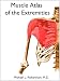 Muscle Atlas of the Extremities Muscle Atlas of the Extremities