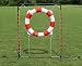 Agility Tire Jump (Hoop Jump)