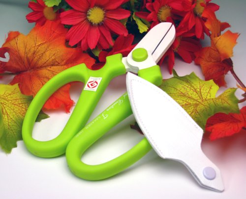 坂源 【春の限定色】ハンドクリエーションF1