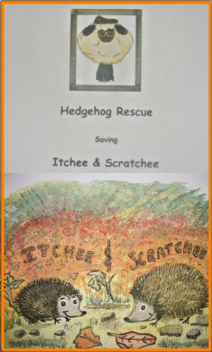 Hedgehog Rescue saving Itchee & Scratchee (Baarbaara The Sheep Tails)