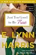 Just Too Good to Be True: A Novel