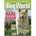 Dog World (2-year)