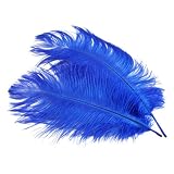10pcs Home Decor Blue Ostrich Feathers
