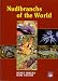 Nudibranchs of the World