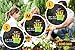 Simple & Timeless Fashionable Gardening Gloves for Women and Men (Medium) - Maximum Protection - Great for Digging, Planting and Other Garden Work