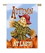 Autumn At Last Scarecrow Large Flag