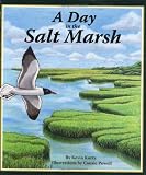 A Day in the Salt Marsh