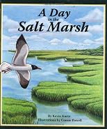 A Day in the Salt Marsh