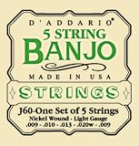 D'Addario Set Banjo Nickel Wnd 9-20 Lite