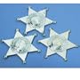 Silver Sheriff Badges (12 count)
