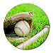 Baseball Equipment Sport Round Mouse Pad