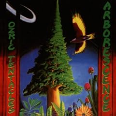 Arborescence/Digi