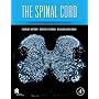 The Spinal Cord: A Christopher and Dana Reeve Foundation Text and Atlas