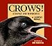 Crows!: Strange and Wonderful